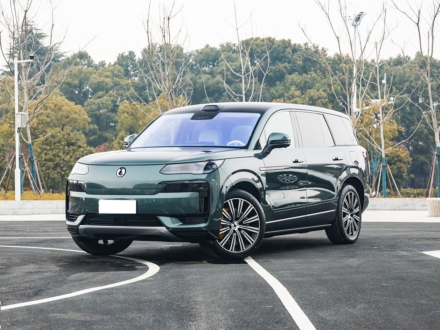 Denza N9 premium SUV in dark green paint